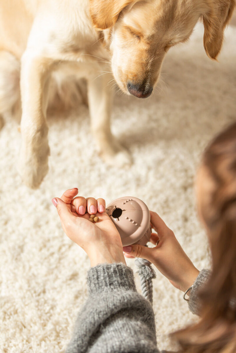 Trixie Xmas Dzwonek na Przysmaki z Linką – Zabawka z Kauczuku 36cm