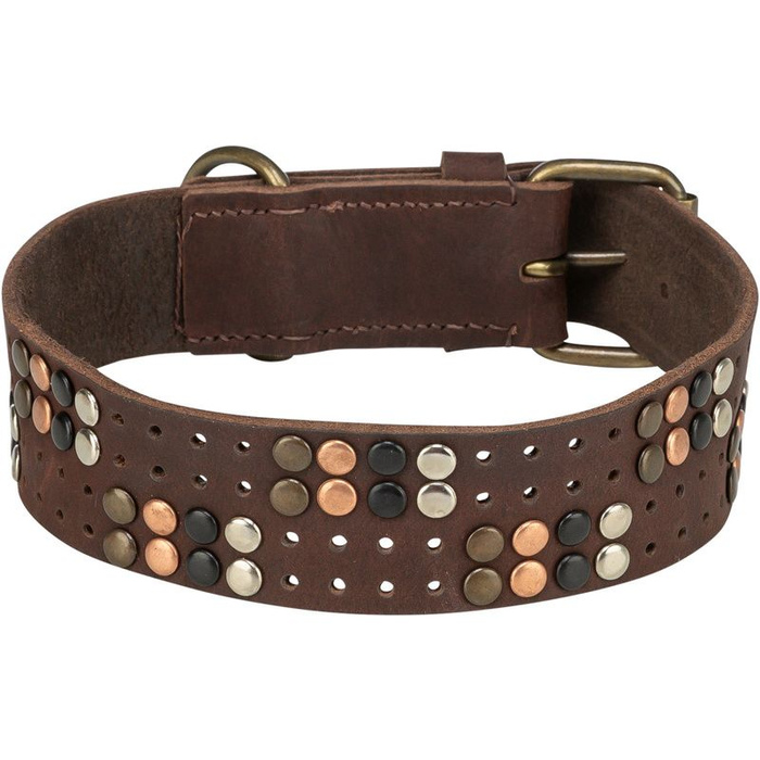 Trixie Rustic Rivet obroża dla psa  z grubej skóry ciemnobrązowa S-M: 34-40cm/30mm