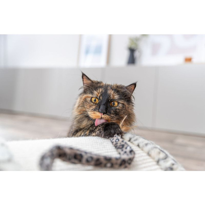 Trixie Wędka dla kota plastik/plusz 50cm z kocimiętką