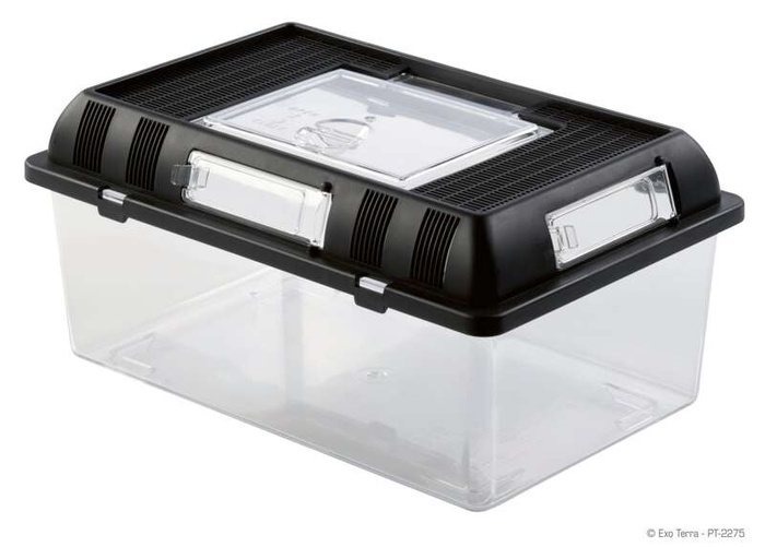 ExoTerra Box hodowlany M 30,2x19,6x14,7cm