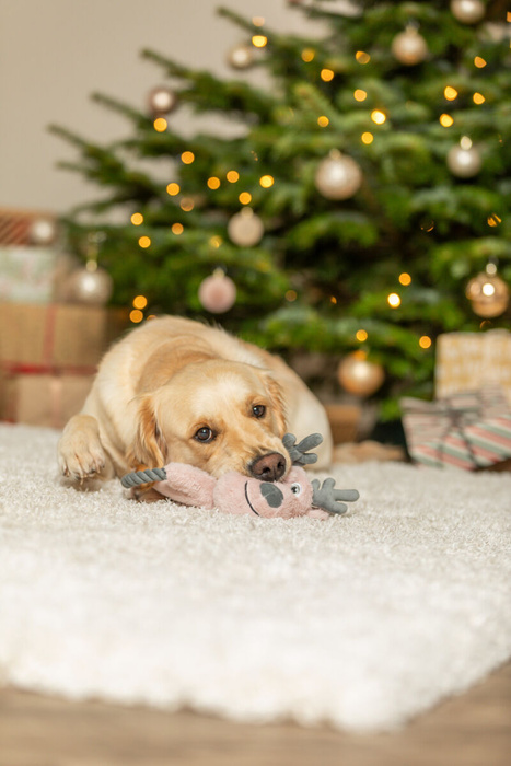 Trixie Xmas Pluszowy Renifer z Linką i Szeleszczącym Wnętrzem 47 cm