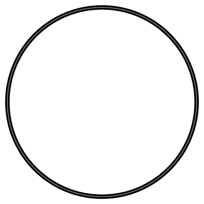 Sera Uszczelka O-ring seal O 79 mm do UV-C System 5 W