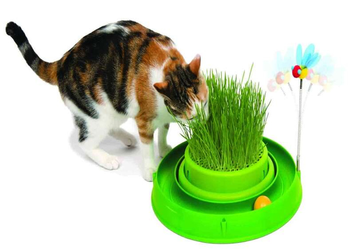 Catit Play'n Scratch z trawą zielony 4x36x39,5cm