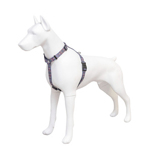 Barry King Szelki taśma dla psa Etno Mandala 25mm/60-100cm