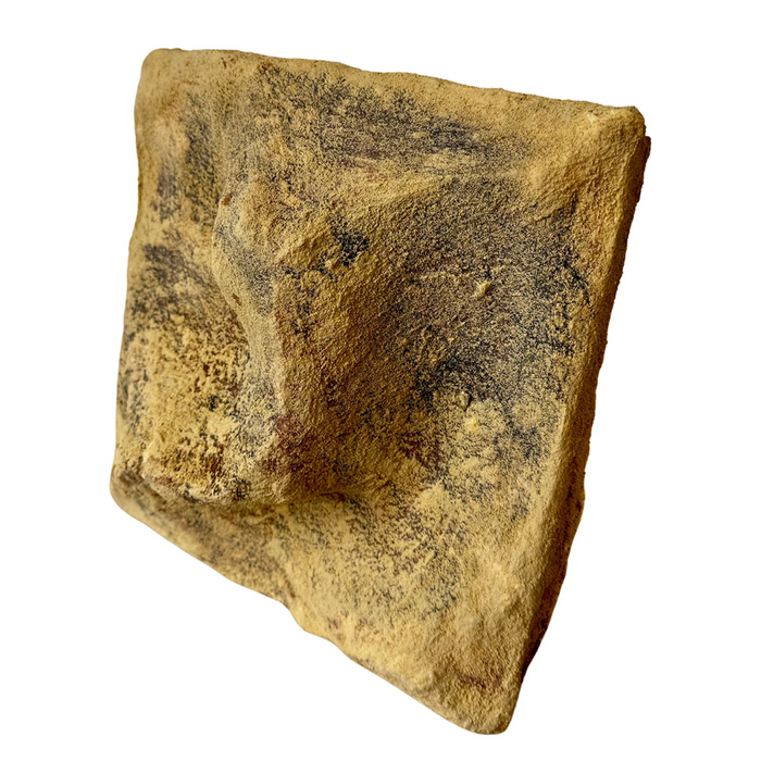 ATG Tło do terrarium 30x30