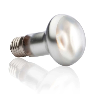 ExoTerra Żarówka Intense Basking Spot 75W 63mm