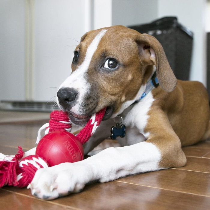 KONG Ball With Rope S