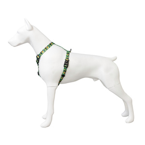 Barry King Szelki taśma dla psa Tropical 25mm/60-100cm