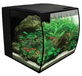 Fluval zestaw Flex Aquarium czarny 34L