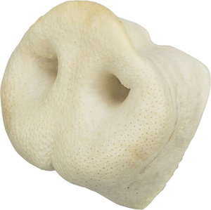 Trixie Suszone świńskie nosy 50szt