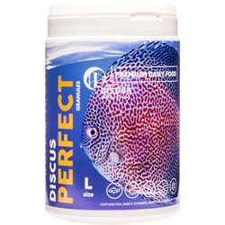 Discus Hobby DISCUS PERFECT L 300ml