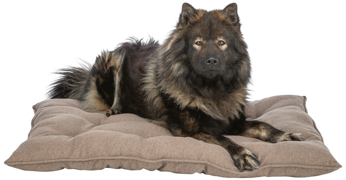 Trixie Caliente legowisko dla psa/kota ciemnoszare 59x50cm
