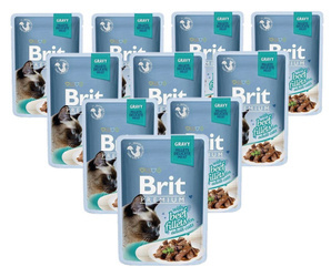 Brit Premium filety wołowe w sosie 24x85g