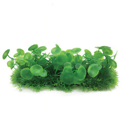 Aqua Natura Roślina do dekoracji akwarium zielona plastikowa 10cm doniczka korytkowa duże płaskie liście