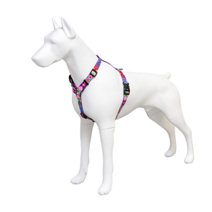 Barry King Szelki taśma dla psa Peru 16mm/30-60cm