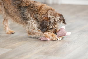 Trixie Królik Pluszowo-Sznurkowy dla Psa 24cm