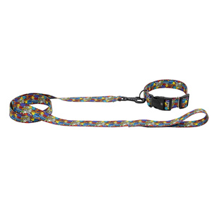 Barry King Obroża taśma dla psa Dream Party 16mm/30-47cm