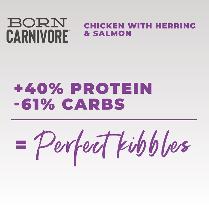 Schesir Born Carnivore Cat Dry Adult Kurczak Ze Śledziem I Łososiem 255g