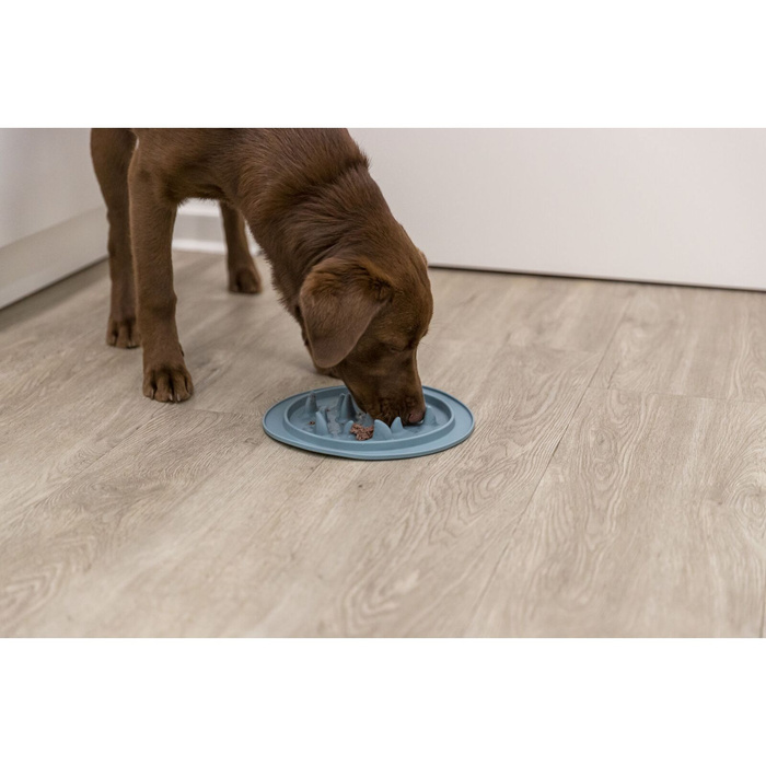 Trixie Mata Slow Feeding różne kolory TPE 24cm spowalniająca jedzenie