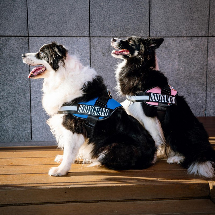 Barry King Szelki Bodyguard dla psa Różowy L 65-85 cm