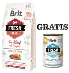 Brit Fresh Beef Pumpkin Puppy Large 2,5kg GRATIS