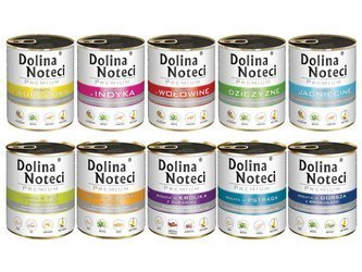 Dolina Noteci Premium Mix Smaków 10x800g