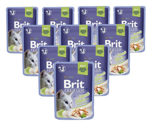 Brit Premium pstrąg w galaretce 24x85g