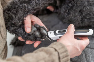 Trixie Slim TR500 maszynka do strzyżenia dla psa 10W biało/czarna bezprzewodowa 600mAh