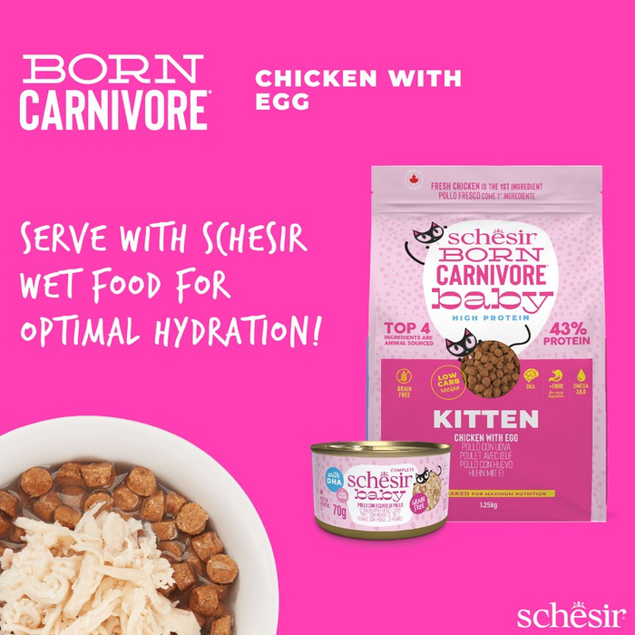 Schesir Born Carnivore Cat Dry Kitten Kurczak Z Jajkiem 1,25kg