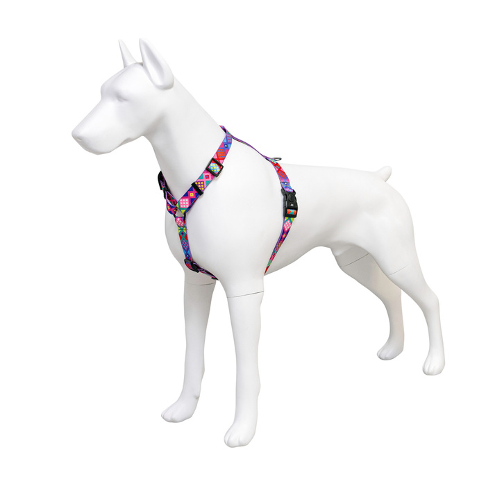 Barry King Szelki taśma dla psa Peru 25mm/60-100cm