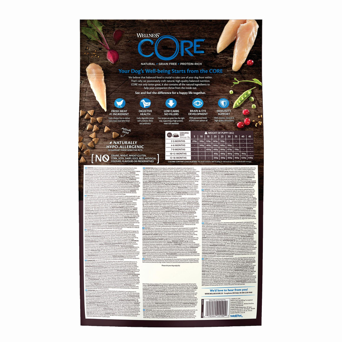 Wellness Core Puppy Large Breed Original Karma Sucha Kurczak 10kg