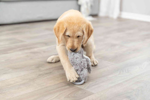 Trixie Junior zabawka wisząca dla szczeniąt plusz/bawełna 33cm szeleszcząca