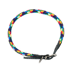 Barry King Obroża dla psa z klamrą sznurek 8mm/40cm multikolor