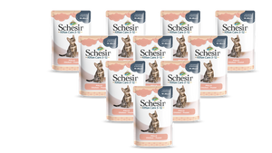 SCHESIR filety z kurczaka w galaretce dla kociąt zestaw 20x 85g