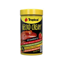 Tropical Gecko Cream Strawberry 100ml/50g