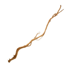 TerraNatura Drewno Antler Wood Branch