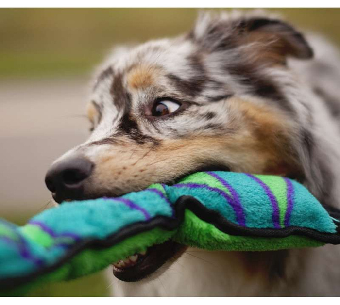 Outward Hound Waleczny Wąż XXL MEGA STRONG