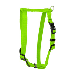 Barry King Szelki Classic limonka M-L 20mm/50-75cm