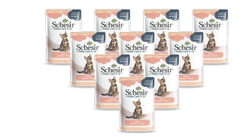 SCHESIR filety z kurczaka w galaretce dla kociąt zestaw 20x 85g