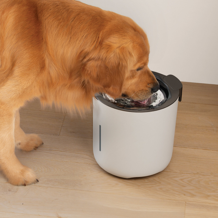 Zeus Oasis Fountain fontanna dla psa jasnoszara 6l 24x25 cm USB