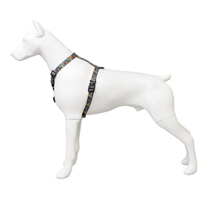 Barry King Szelki taśma dla psa Dream Party 20mm/50-80cm