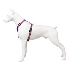 Barry King Szelki taśma dla psa Peru 16mm/30-60cm