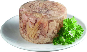 GIMCAT ShinyCat filet z kurczaka z tuńczykiem 70g