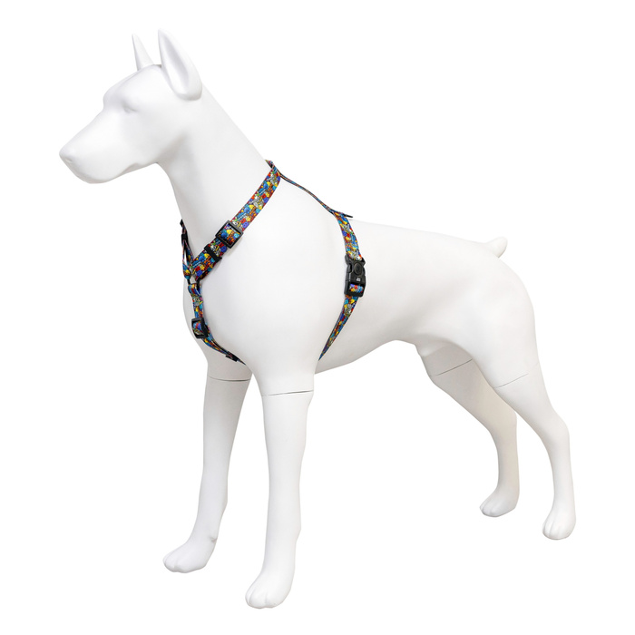 Barry King Szelki taśma dla psa Dream Party 20mm/50-80cm