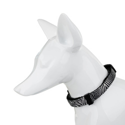 Barry King Obroża dla psa czarno-biała zebra taśma polipropylenowa 16mm/30-47cm