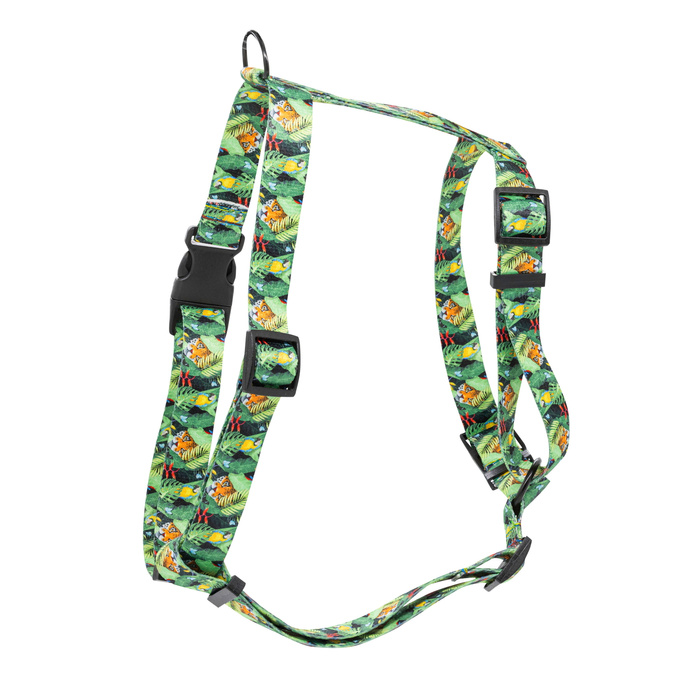 Barry King Szelki taśma dla psa Tropical 20mm/50-80cm