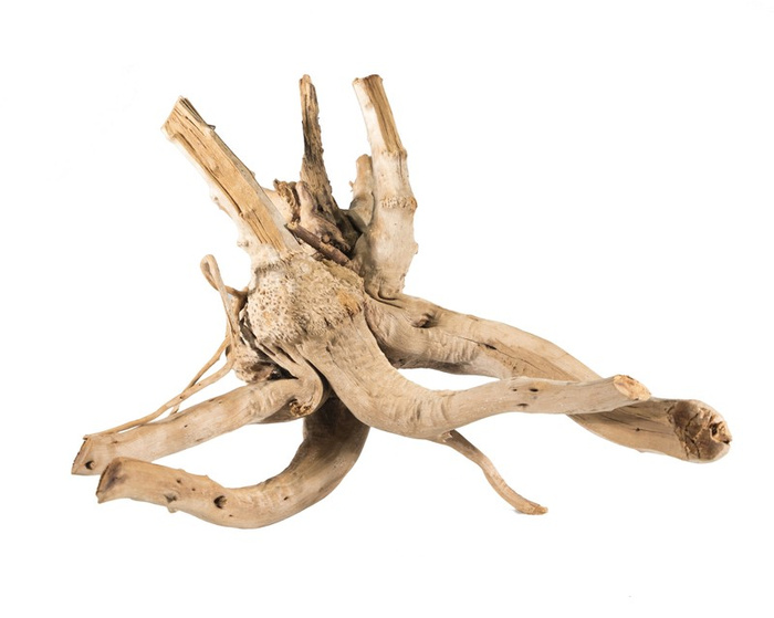 TerraNatura Korzeń bagienny M-L: Red Moor 10-50cm