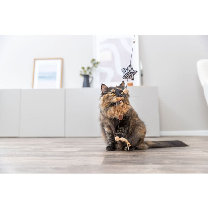 Trixie Wędka z Pluszową Gwiazdą 50cm z Kocimiętką