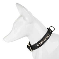 Barry King Obroża dla psa wzór kostki 20mm/52cm czarna