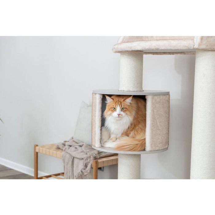 Trixie Kiara XXL Drapak dla Kota Kremowy 135cm